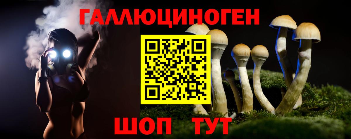 Выкса  Галлюциногенные грибы прущие грибы  купить закладку  Вход с VPN 